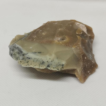 Opalisiertes Versteinertes Holz